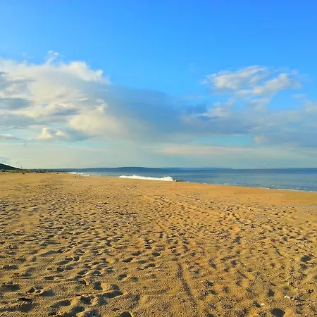 Alexander Shkorpilovtsi