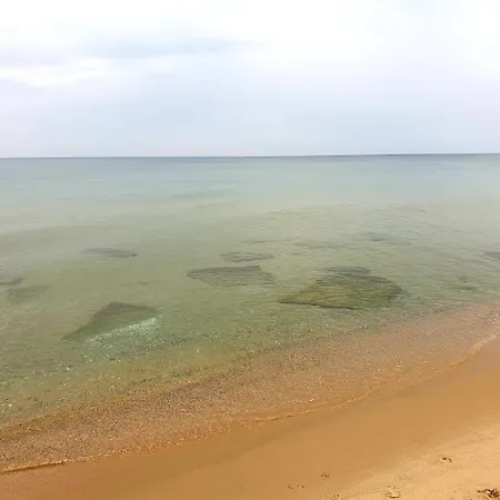 Alexander Shkorpilovtsi