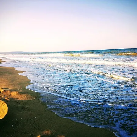 Alexander Shkorpilovtsi