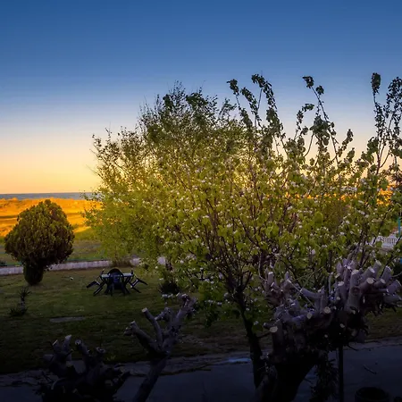 Alexander שקורפילובצי