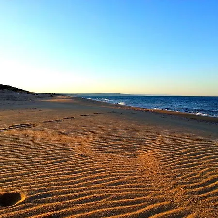 פארק נופש Alexander שקורפילובצי