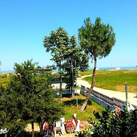 Alexander Holiday park 2*
