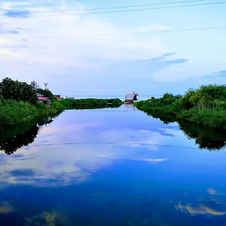 Alexander 2* שקורפילובצי