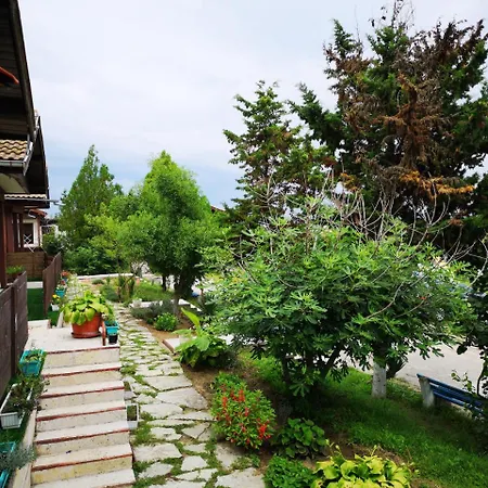 Alexander שקורפילובצי