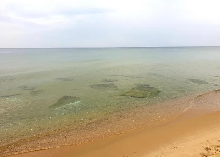 Alexander Shkorpilovtsi