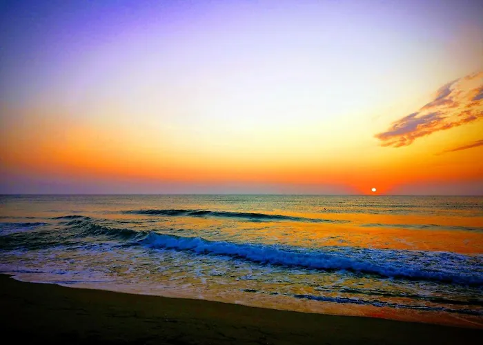 Parque de vacaciones Alexander Shkorpilovtsi