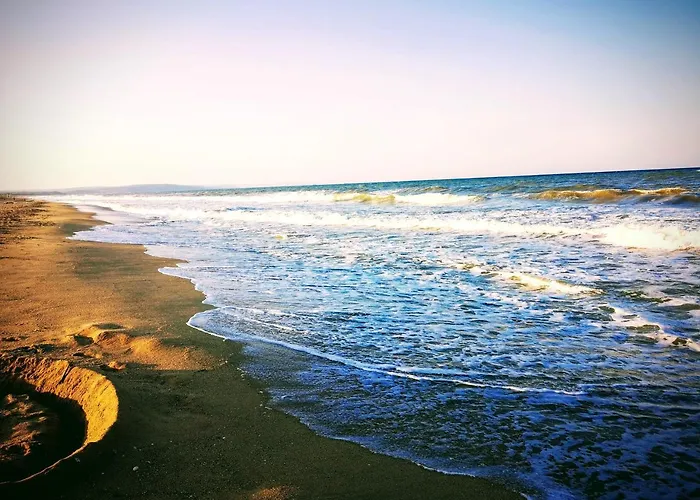 Alexander Shkorpilovtsi