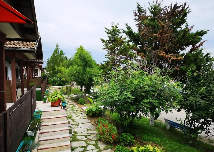 Alexander Shkorpilovtsi